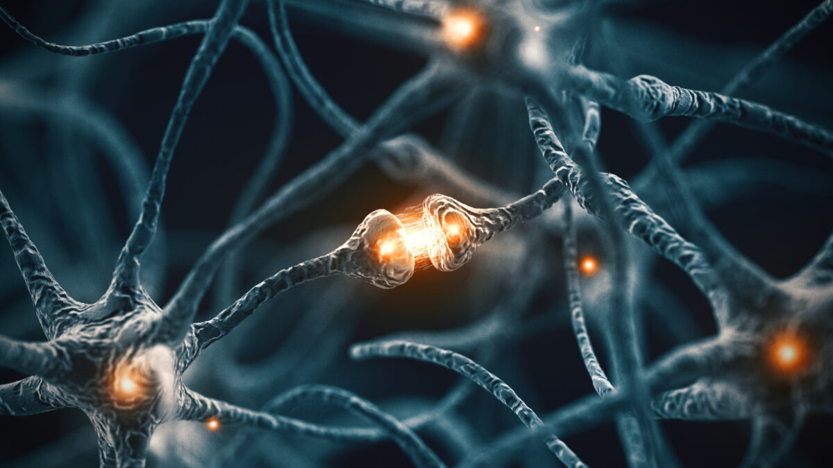 The Effect of Propofol on Neurotransmitters